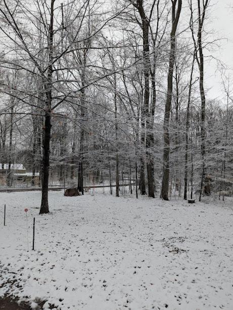 Quiet And Comfy 3bed/2bath - With Hot Tub. * Cedar